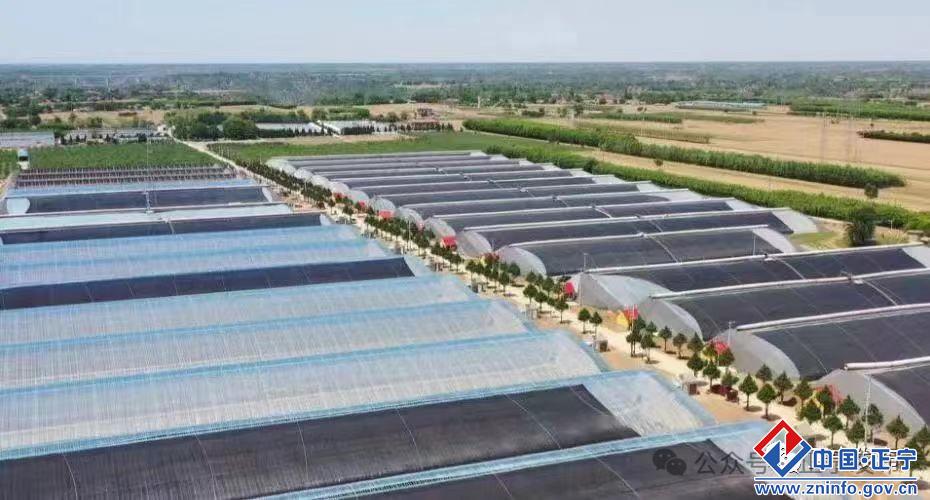 3210ce687ecf488e8dd3f878c80e51e2.jpg 3210ce687ecf488e8dd3f878c80e51e2.jpg