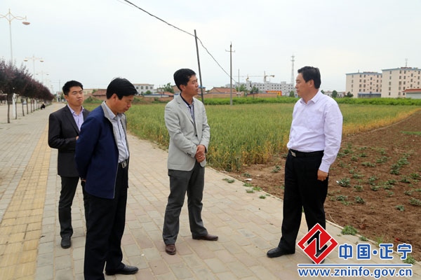 蔡文辉督查县城环境卫生集中整治开展情况