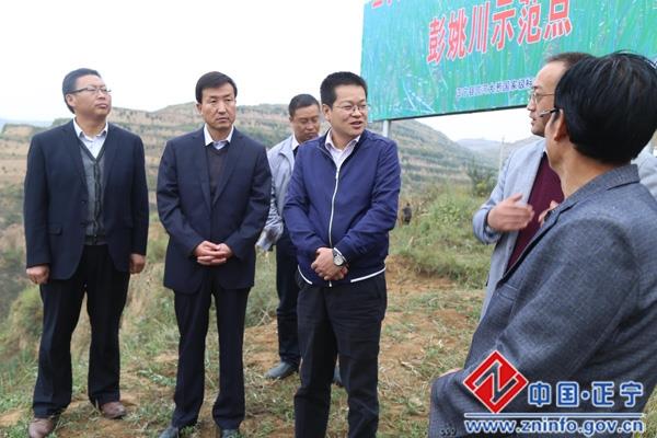 正宁县宫河大葱国家级农业综合标准化示范区建设顺利通过考核验收