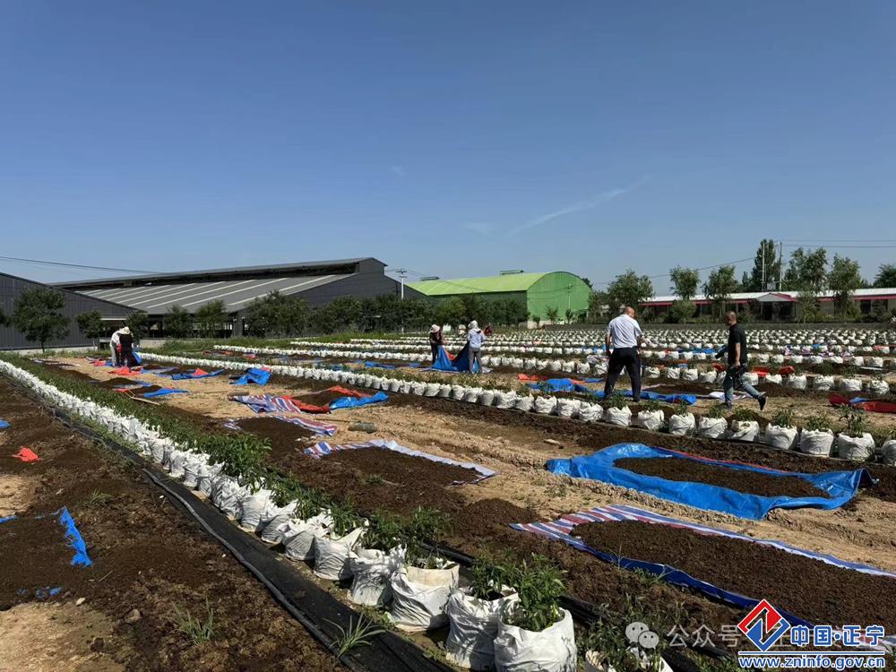 e9f777a97394432bb16bf28b25c6d7c4.jpg e9f777a97394432bb16bf28b25c6d7c4.jpg