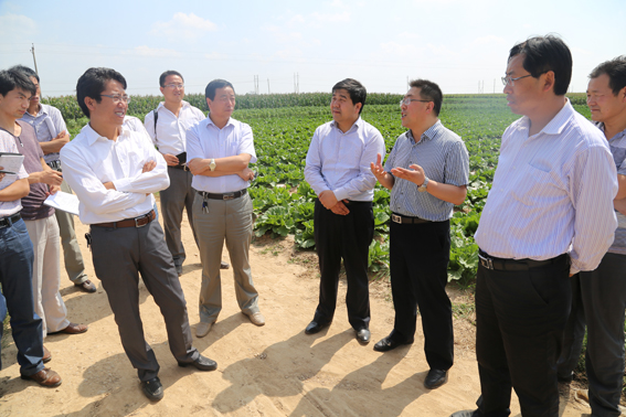 段登云、曹育铮督查调研秋季农业农村重点工作