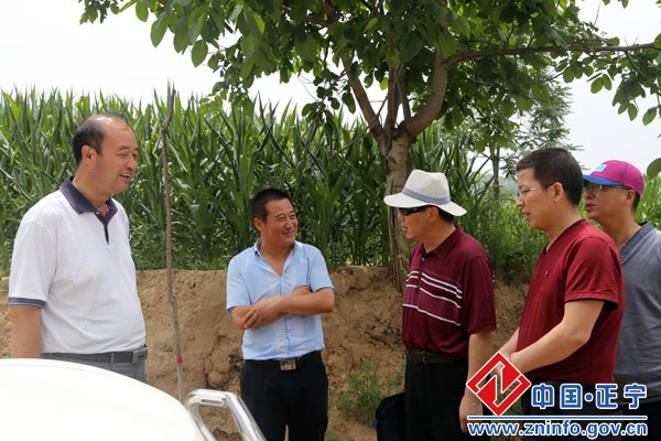 省绩效考评工作组考评督查正宁县农业综合开发工作