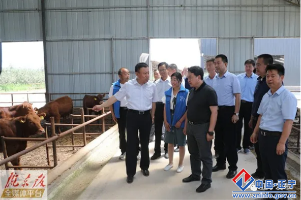 805f59c60e884d50839fd855bf28bb20.png 805f59c60e884d50839fd855bf28bb20.png