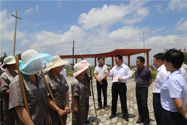 张龙杰调研甘肃融诚公司正宁农业产业化及“331+”项目