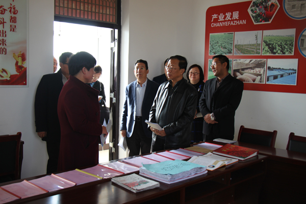 侯文彬来我县调研农村婚嫁彩礼