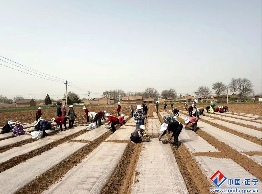 d7089260b9814361942e8c11fd93c797.png d7089260b9814361942e8c11fd93c797.png