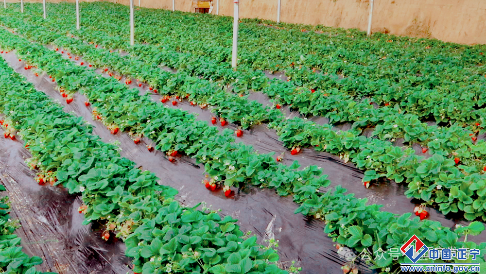 3faca0353565428984dd2e8093a51590.png 3faca0353565428984dd2e8093a51590.png