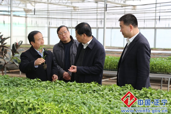 钱建华来正宁县督查第一季度经济工作