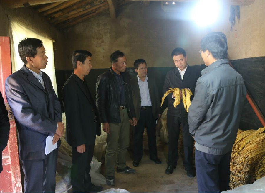 张龙杰督查全县秋季农业生产