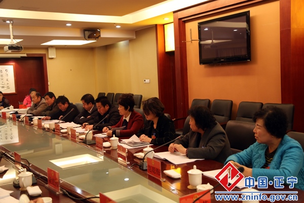 积极建言献策  反映群众心声