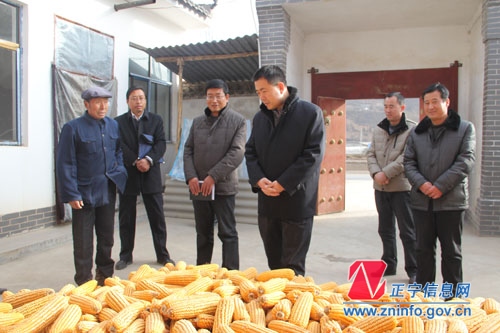 张龙杰到党的群众路线教育实践活动联系点调研