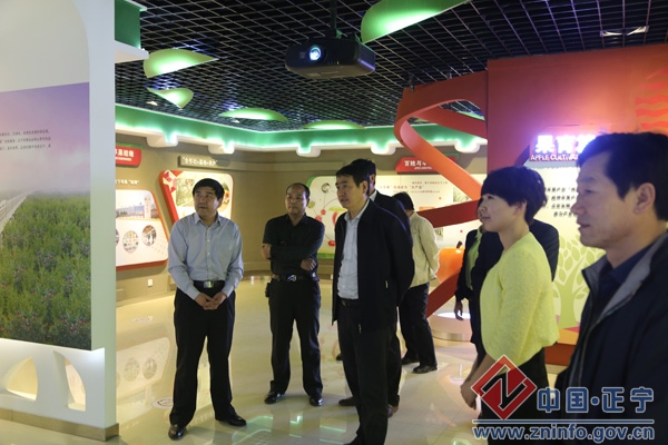 市商务局局长杨正才来正宁督查指导商务工作