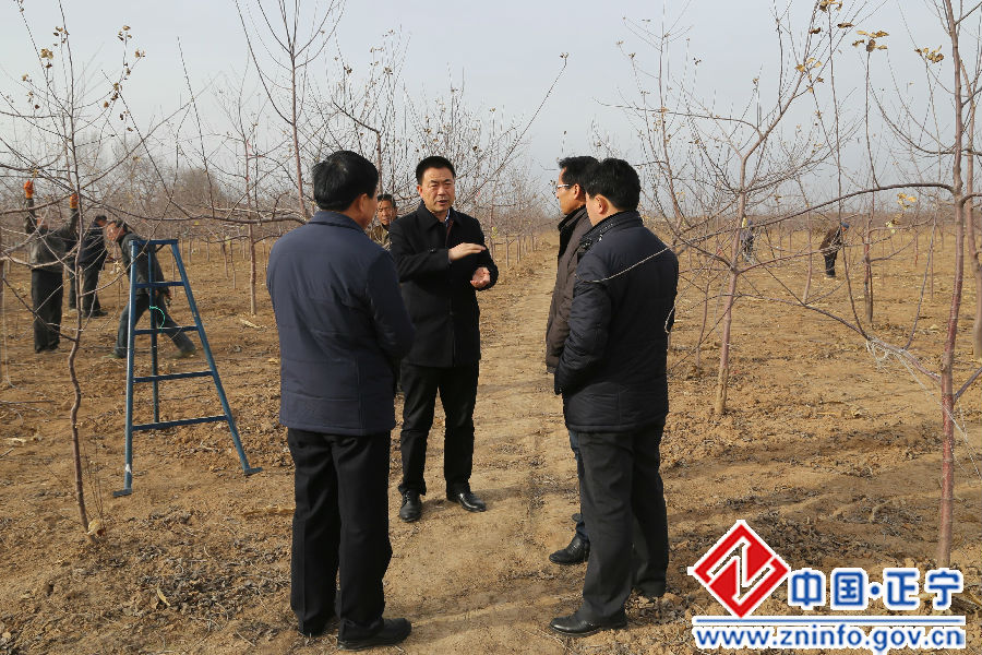 张龙杰赴永和镇开展“五到乡村惠民生”专题宣讲及走访慰问活动