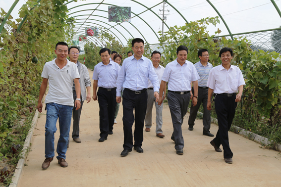 岳中锋一行督查正宁县民生实事办理情况