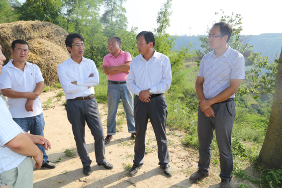 段登云、曹育铮督查调研秋季农业农村重点工作