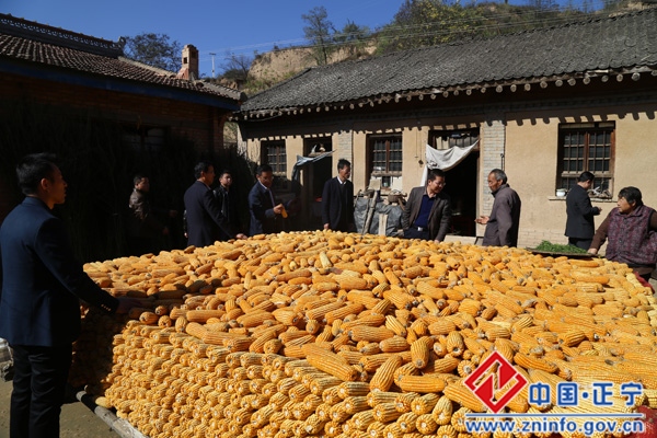 何子通张星利深入“六联一帮”联系乡镇调研