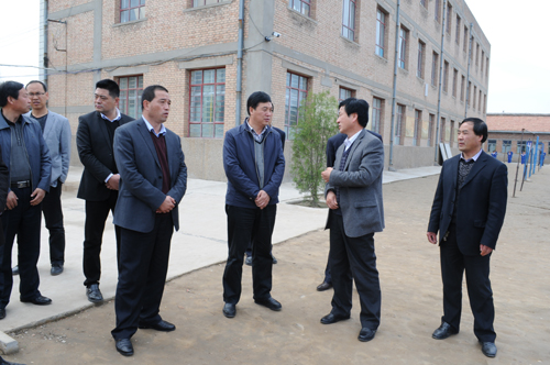 蔡文辉调研乡镇项目建设情况