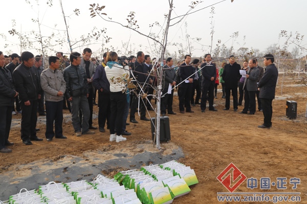 正宁县召开2014年冬季农民培训启动大会