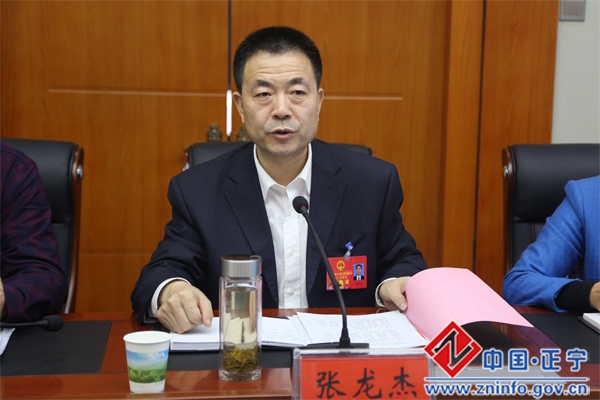 张龙杰参加政协正宁县第九届委员会第三讨论组会议