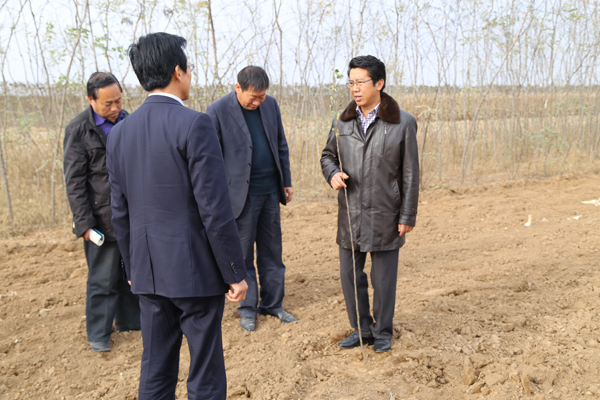 段登云督查秋季栽果和果园管理工作