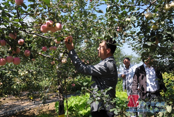 张龙杰走访“双联”户