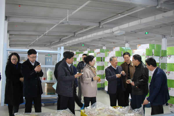 省政协来我县开展“促推绿色安全食品产业发展”调研