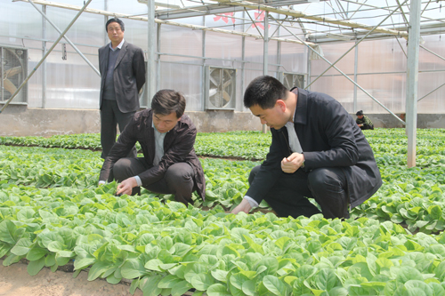 张龙杰督查各乡镇春季农业生产工作