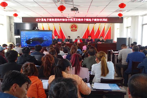 榆林子镇开展乡村振兴电子商务创业培训
