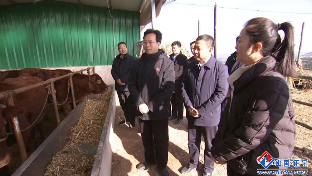 091e26d4279e48b382439ebd123ae0bb.png 091e26d4279e48b382439ebd123ae0bb.png