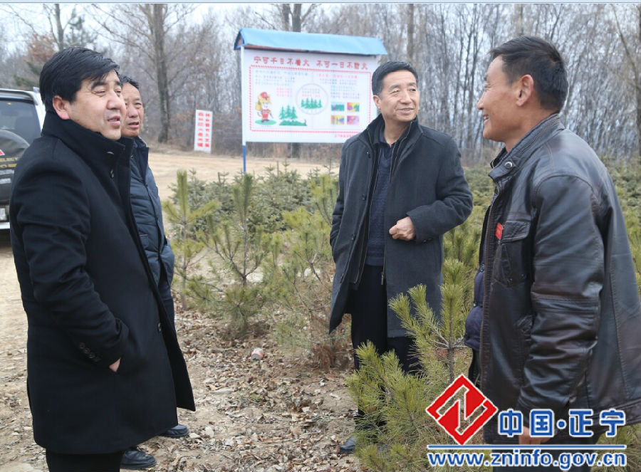 曹育铮督查全县森林防火工作