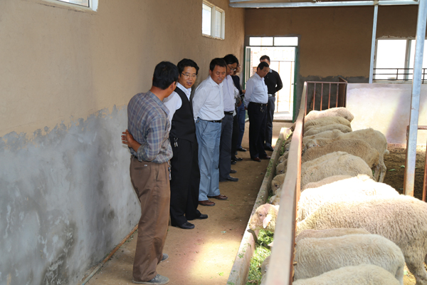 段登云、曹育铮督查调研南塬4乡镇农业农村重点工作