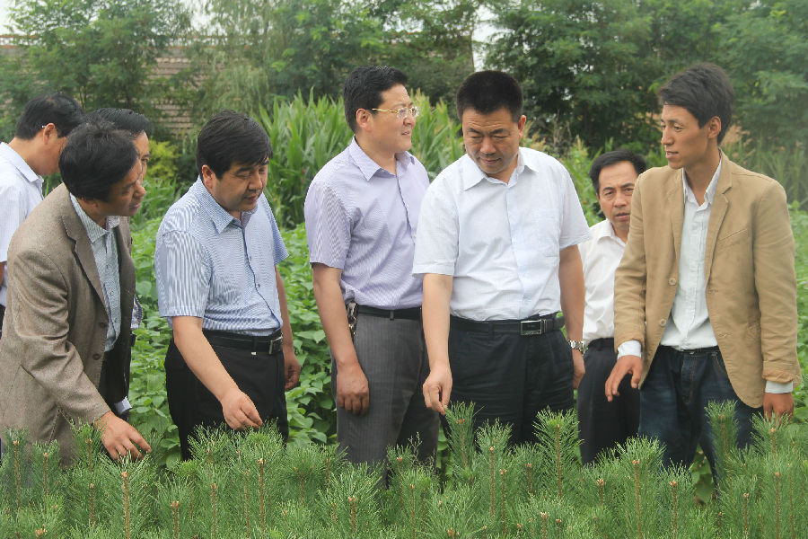 陇东学院榆林子镇大学生社会实践基地建立挂牌