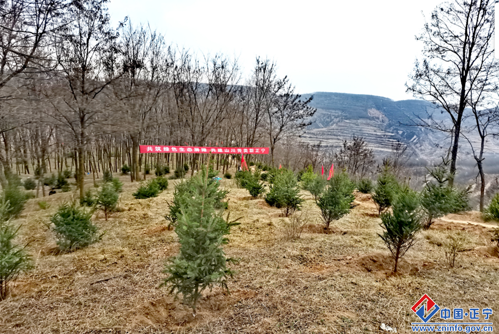 c5a49dbcb76246fa896a09c58a2a86bc.png c5a49dbcb76246fa896a09c58a2a86bc.png