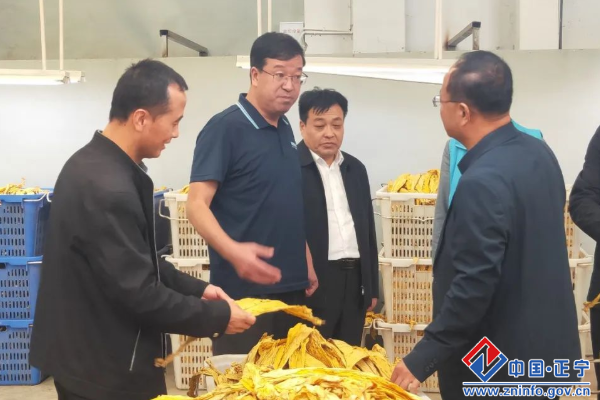 程跟会督查调研烤烟收购工作