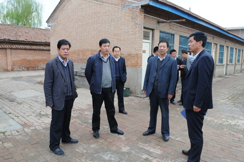 蔡文辉调研乡镇项目建设情况