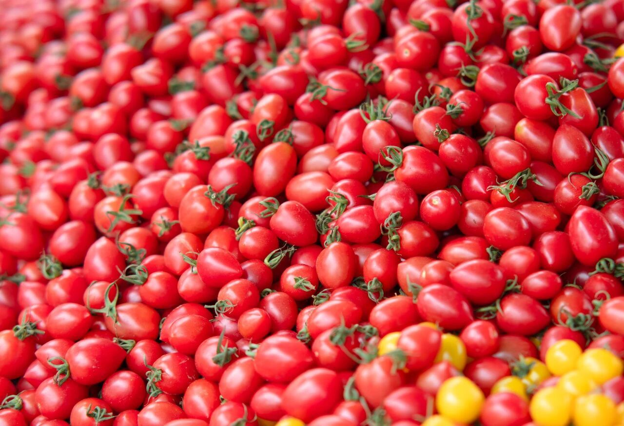 减肥好搭子!这个水果低卡高纤还美味 多吃不怕胖