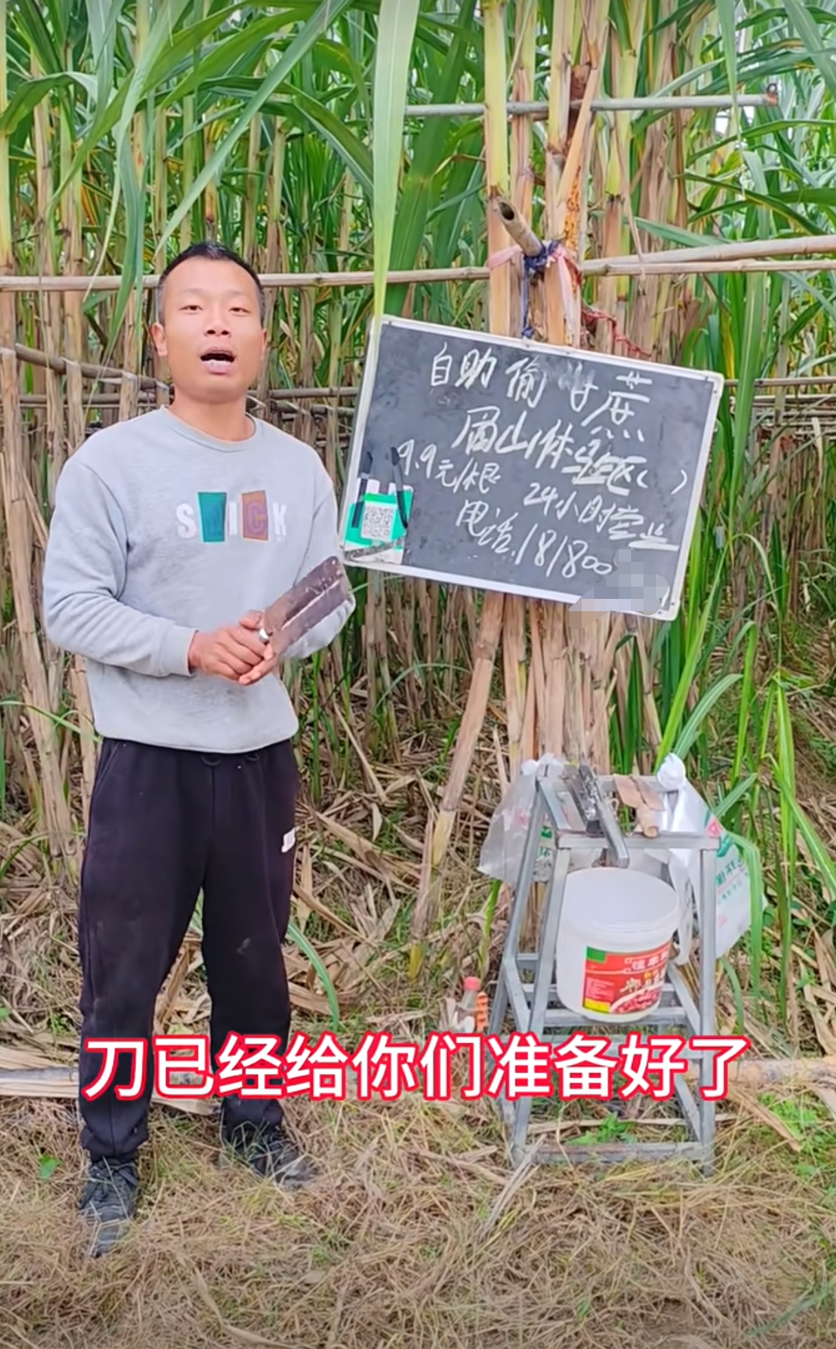 18天涌入10余万人！四川这个村的几十亩甘蔗地有何魔力？