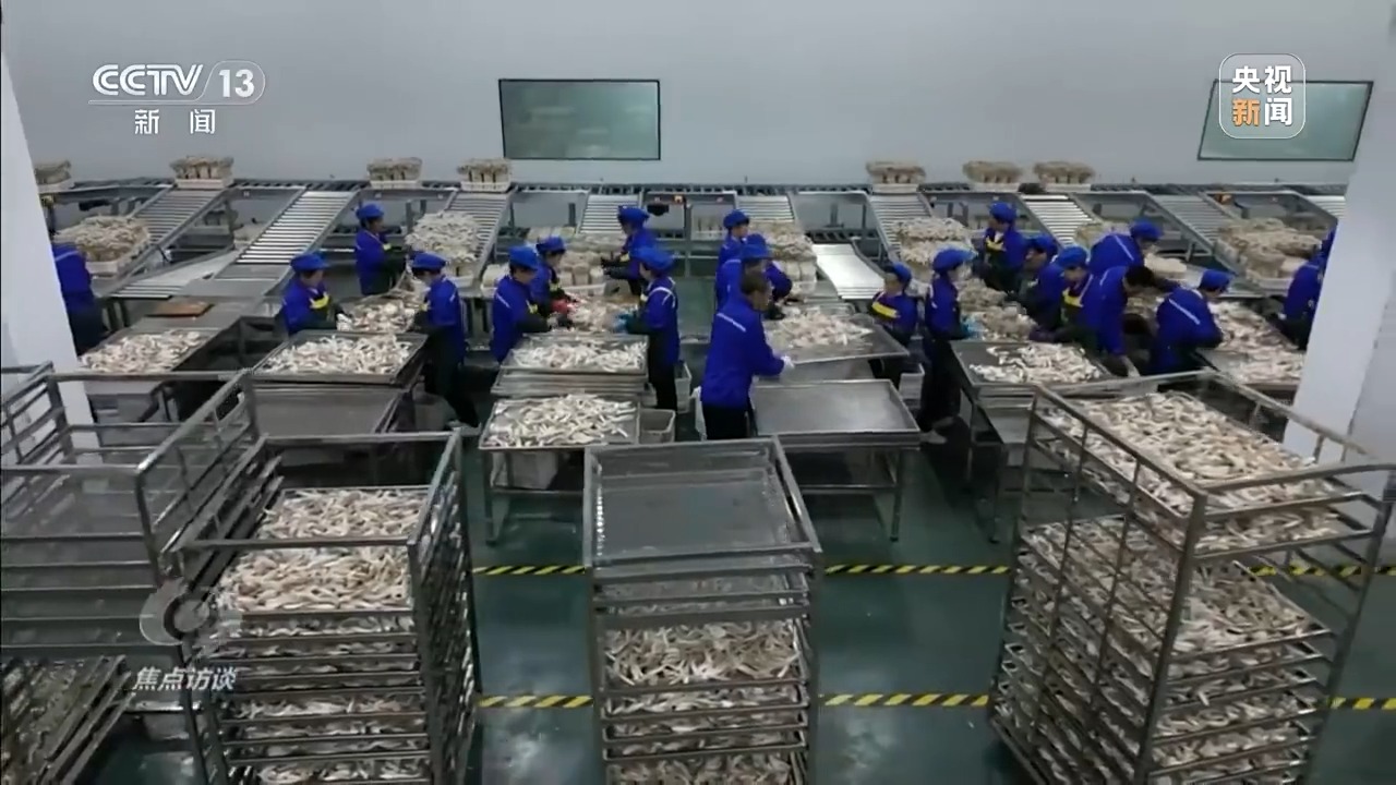 让一亿人稳定脱贫 中国有独特的“方法论”