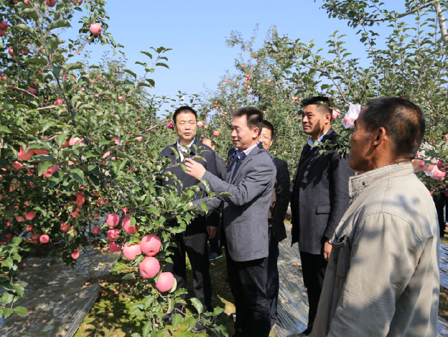 张龙杰督查全县秋季农业生产