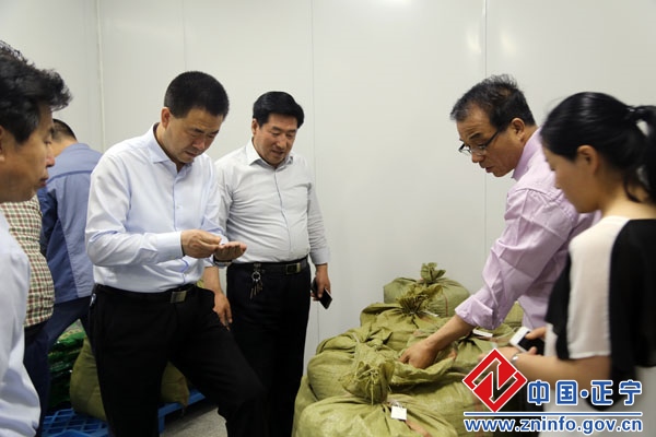 张龙杰督查县城重点建设项目情况