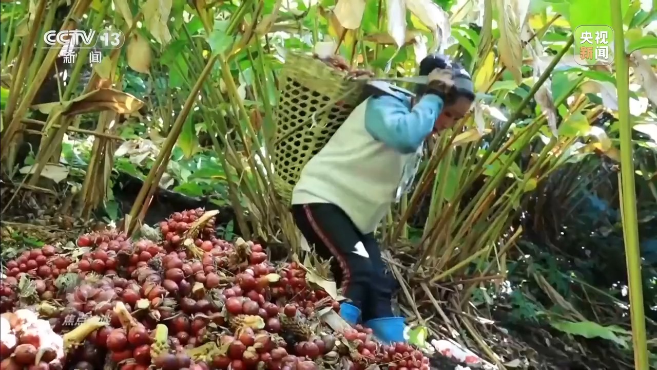 让一亿人稳定脱贫 中国有独特的“方法论”