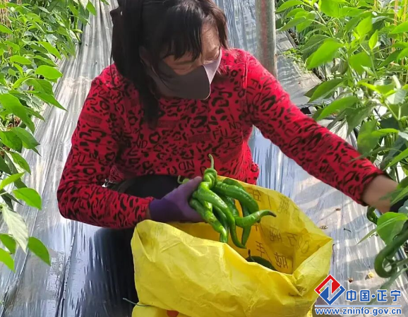 76e22e5dd82b438e970d728743bd6db8.png 76e22e5dd82b438e970d728743bd6db8.png