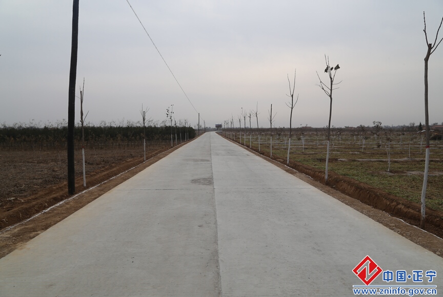 1.jpg 张龙杰调研部分乡镇道路交通建设情况