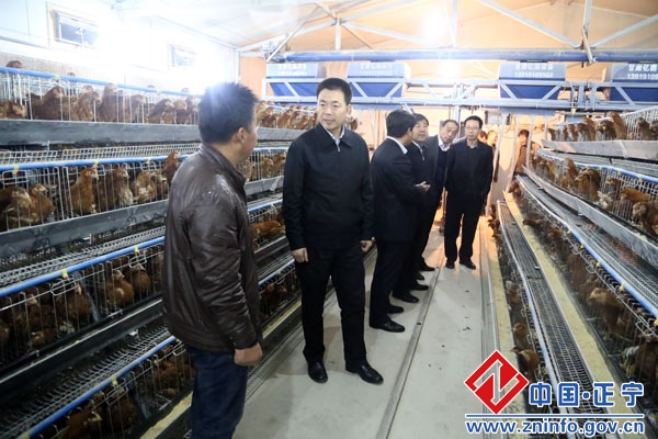 张龙杰调研督查南塬乡镇春季农业生产工作