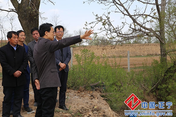 周普生调研正宁农村环境综合整治工作