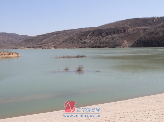 肖铮督查正宁环保工作