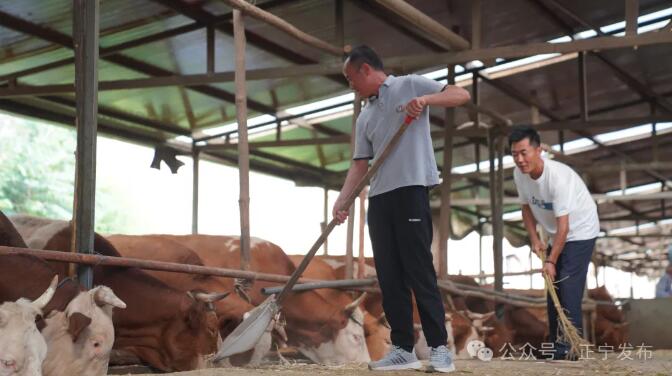 正宁县三嘉乡东庄村：政治协商激活乡村建设“新引擎”