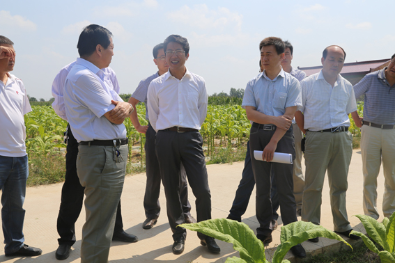 段登云、曹育铮督查调研秋季农业农村重点工作