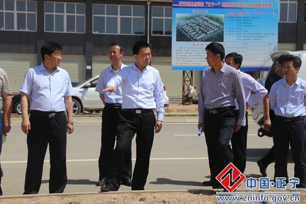 张龙杰督查县城重点建设项目情况