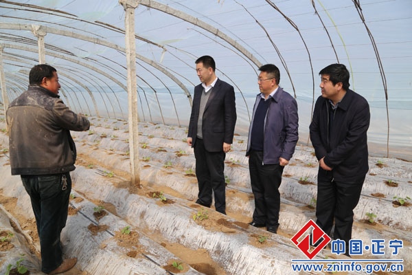 张龙杰调研督查春季农业生产工作